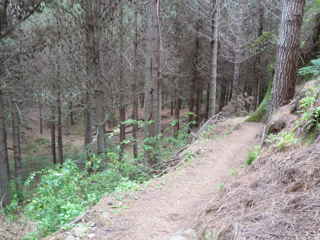 Links runter, rechts hoch...