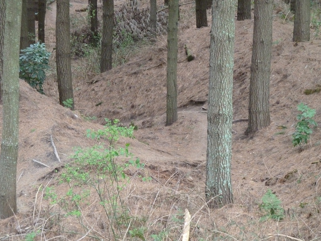 Nicht etwas kurvig...?