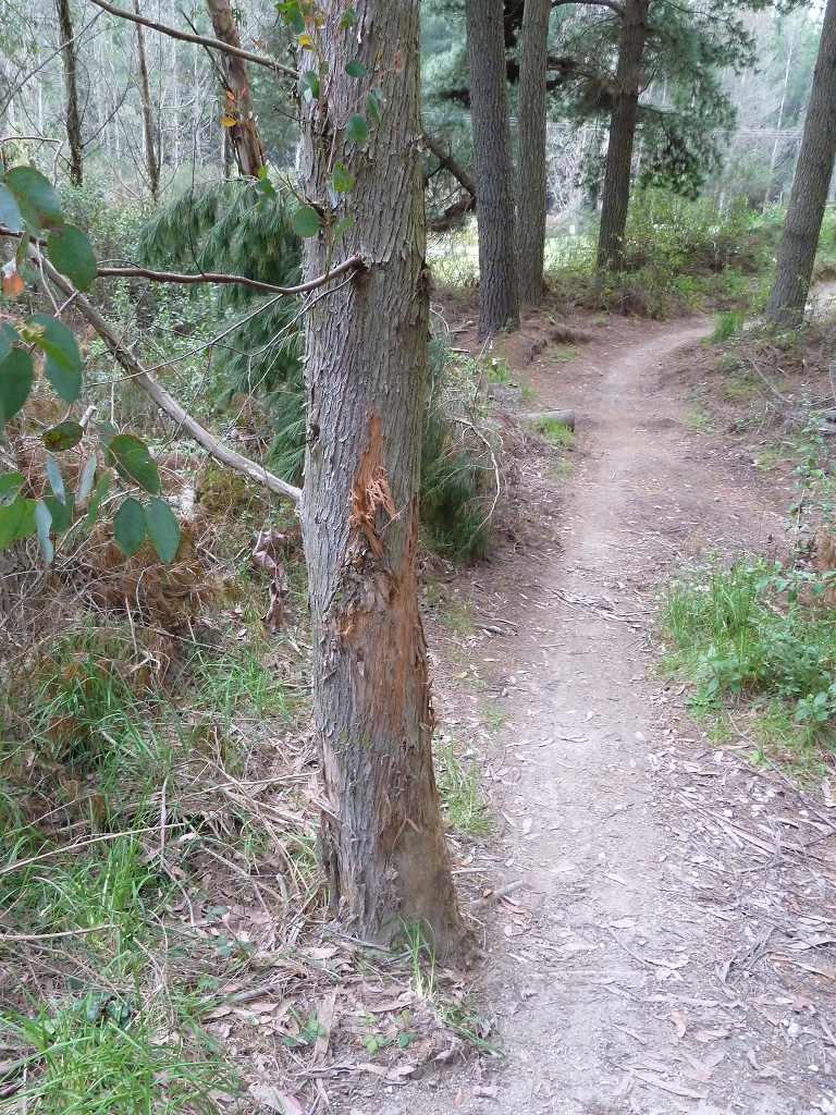 Leichte Gebrauchsspuren